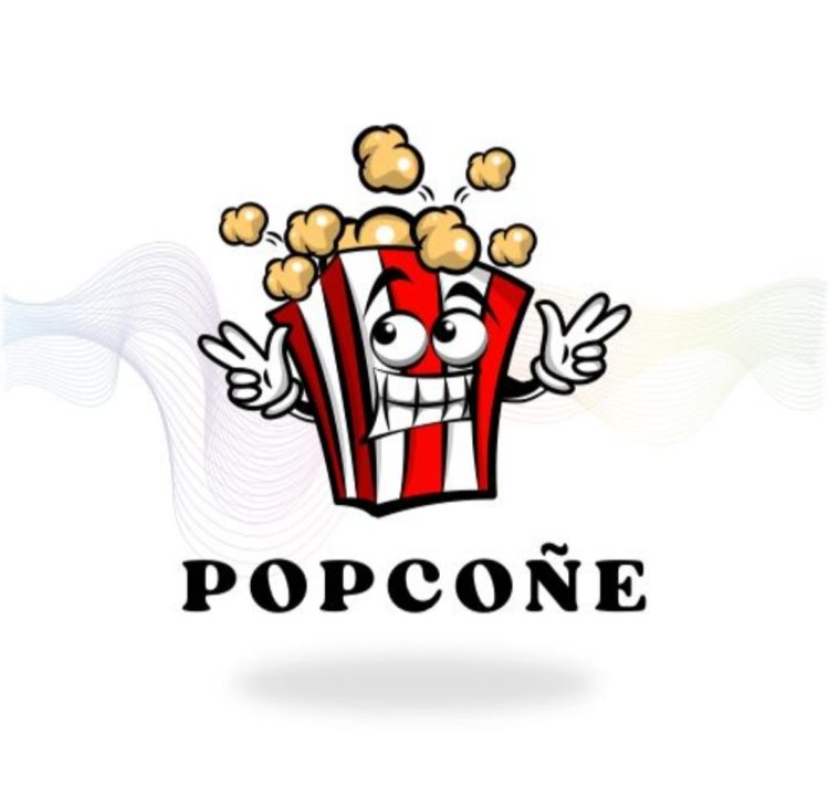 POPCONE: Premium Seasoning Powders for Irresistible Flavors