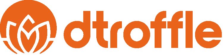 How Dtroffle Is Reinventing Digital Marketing for Global D2C Brands