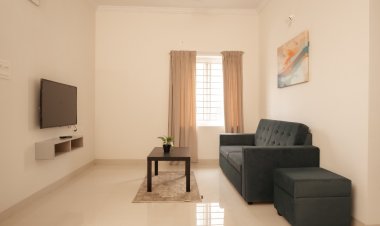 Buzz Living Redefines Urban Co-Living in Hyderabad: A Community-Centric Approach to Modern Living