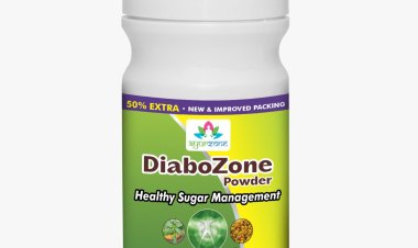 AyurZone – Bringing Ayurveda Back into Everyday Wellness